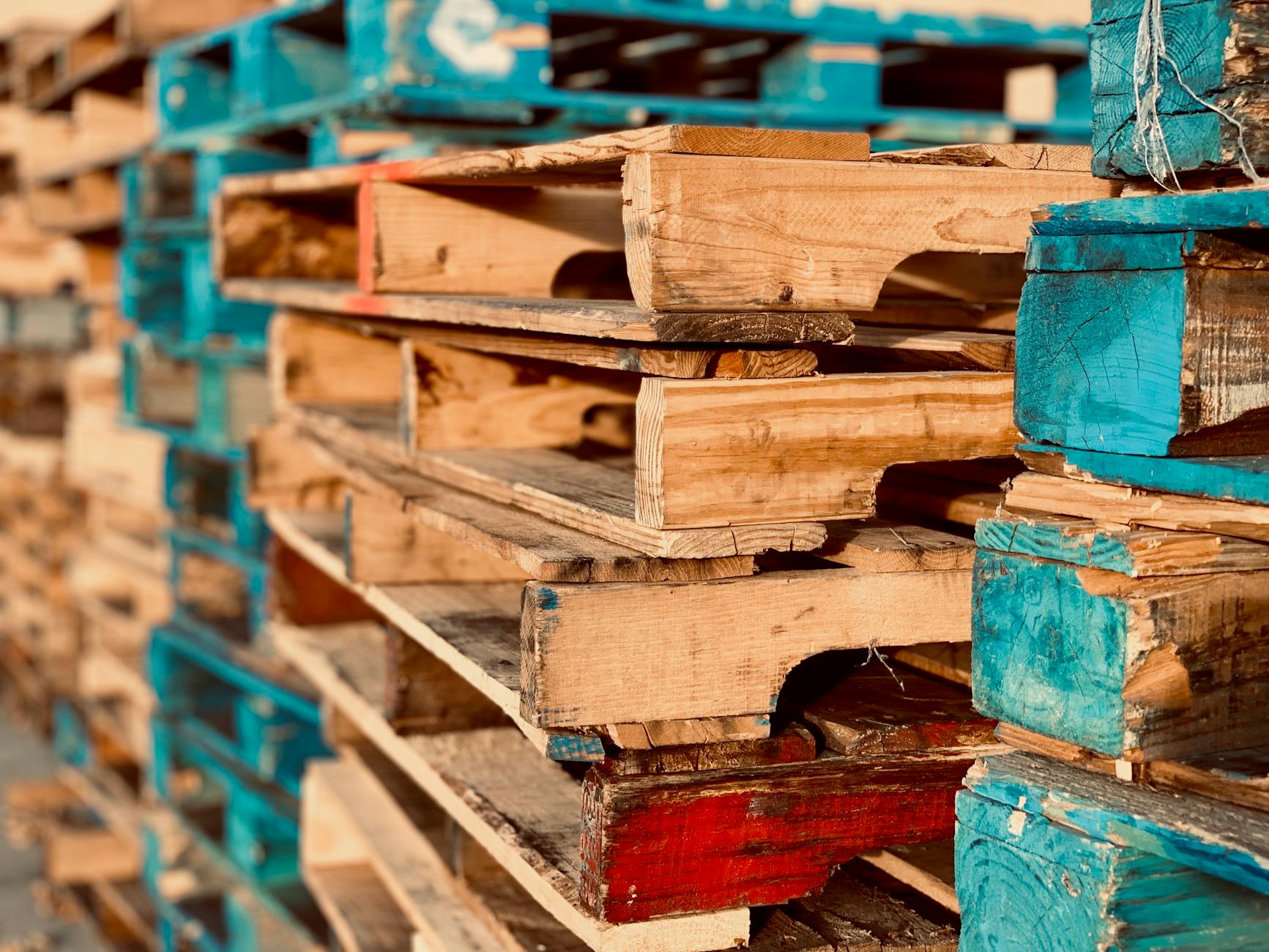 How to Make a DIY Compost Bin from Pallets