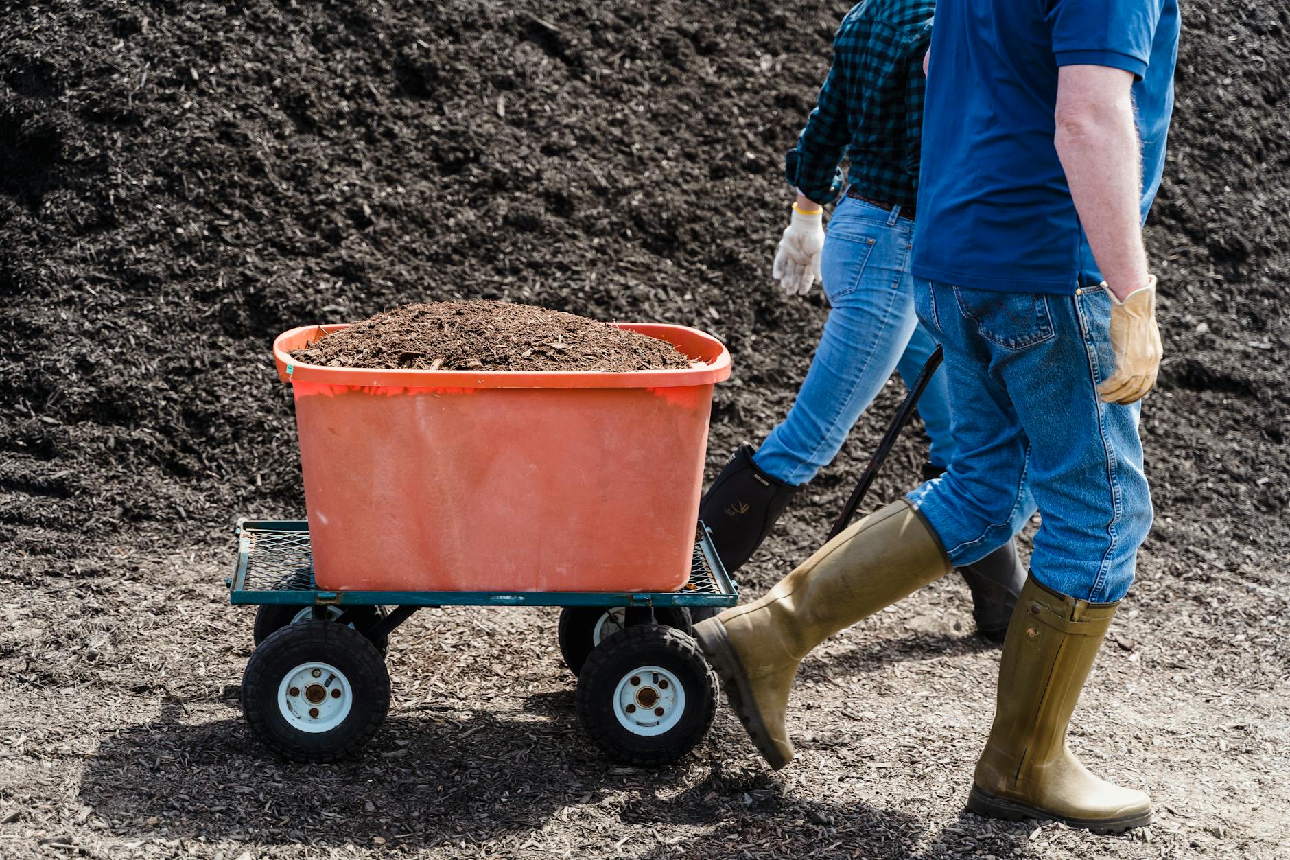 The Benefits of Composting: Why Every UK Garden Needs It